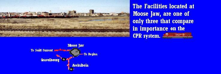 Moose.JPG (31588 bytes)