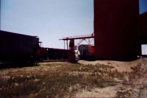 Pictur33.jpg (23641 bytes)