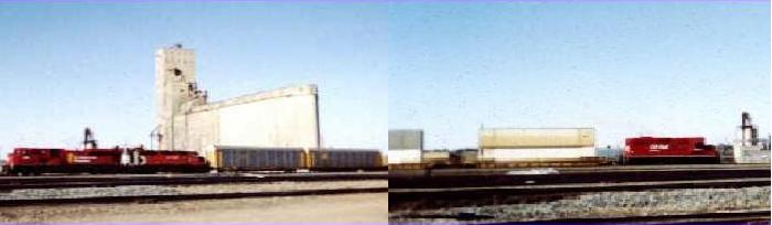 Yardaction.JPG (20849 bytes)