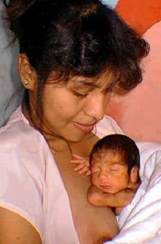 mam� canguro