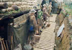View a part of the trench - Click to enlarge