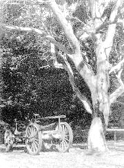 Scott's Wagon.