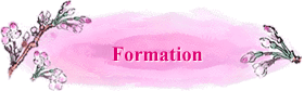 Formation