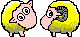 two sheep