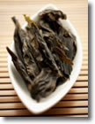 Savia marina en tus productos de belleza