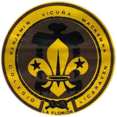 Insignia de grupo