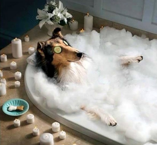 The Wash