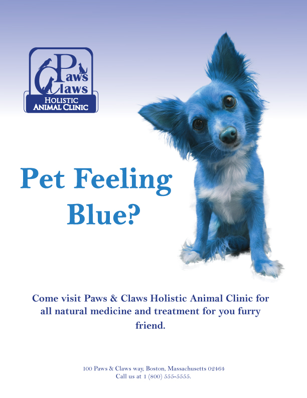 Blue Dog Magazine