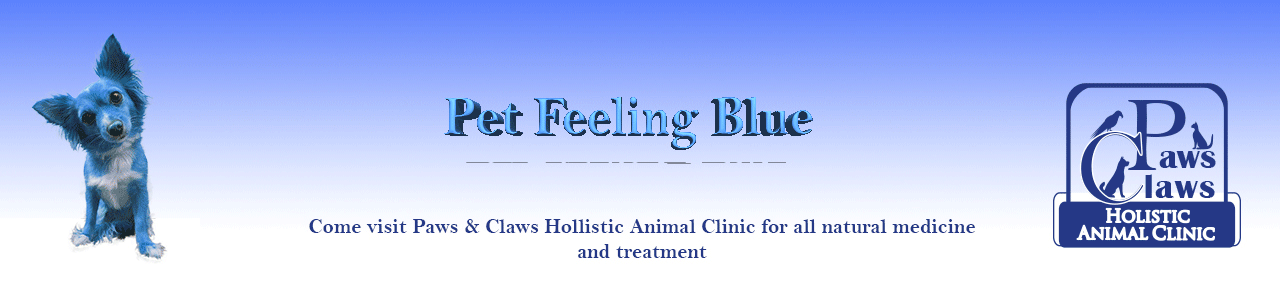 Blue Dog Banner