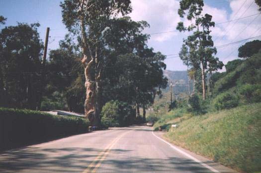 Northbound Route 144 continuing through Sycamore Canyon.  Many well-kept homes are located here.