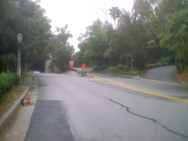 Southbound Linda Vista Avenue continues to the right, where it merges with the San Rafael offramp of Route 134.