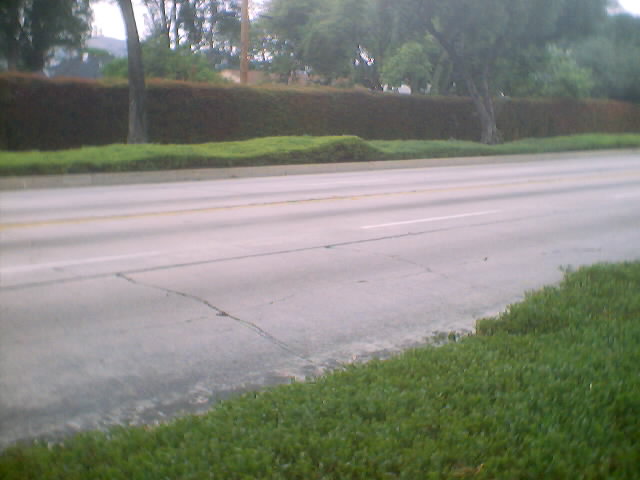 A close-up of the pavement.