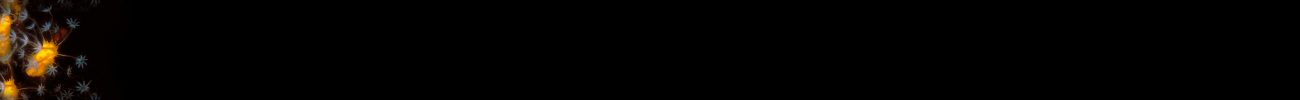 blackflowerback.jpg