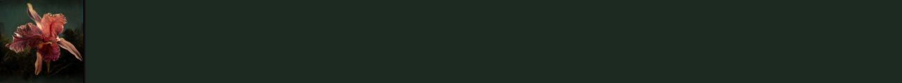 bottlegreenback.jpg