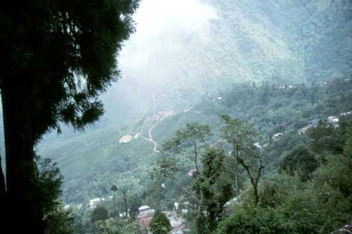Darjeeling Tea Garden
