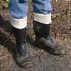 WELLIES