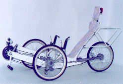 BerkutSpecial - exclusive model of trike