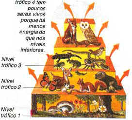 N�veis tr�ficos