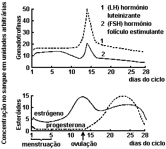 Hormonios gonadotroficos e esteroides