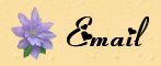 E-Mail Me