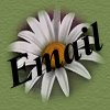 E-Mail Me