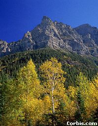 10584696.jpg (17587 bytes)