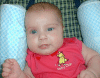 nicrind2.gif (121609 bytes)