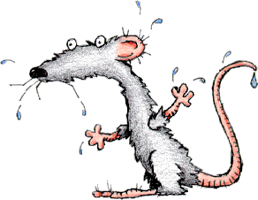This is one worried mouse!
