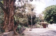 entrada parque La Abejita