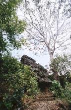 camino a la piedra del zamuro