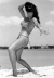 beach23.jpg (13383 bytes)