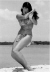 beach6.jpg (19949 bytes)