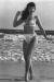 beach9.jpg (31811 bytes)