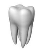 Looken på rotar - tänder att bry sig i dag. Dental care.