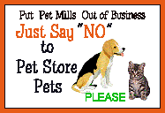 NO PET STORES