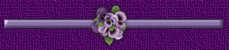 potted pansy fancy bar