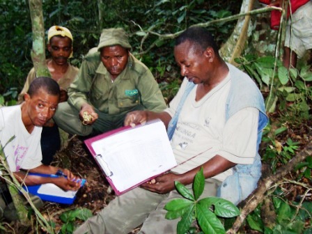 Image travail d'inventaire sur transect au PNVi
