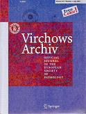Virchows Archiv
