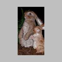 lapin.jpg