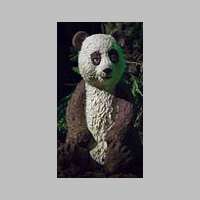 panda.jpg