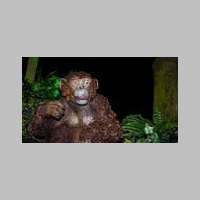 singe2.jpg