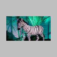 zebre.jpg