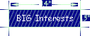 BIG Interests