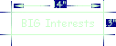 BIG Interests