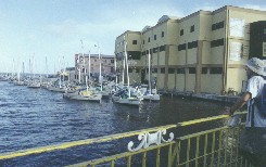 The harbour