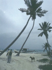The Keys
