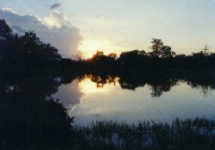 Sunset near Palenque