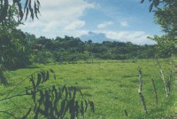 Countryside