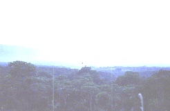 A picture of the Guatamalan countryside