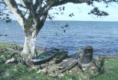 Punta Gorda